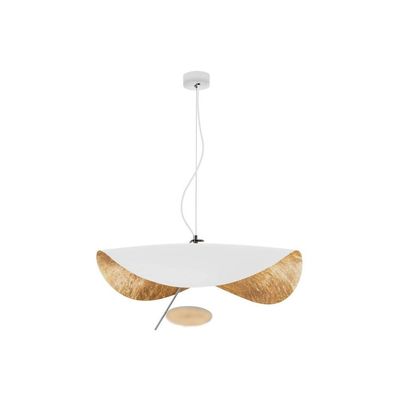 Postmodern industrial pendant lamp Curved Surface LED Flying Light Decor Living Room Kitchen Pendant Light(WH-AP-239)