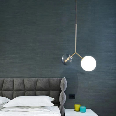 Modern Iron Pendant Lamps Decorative Restaurant Abelone Asymmetry Dual Globe Glass Pendant Light(WH-AP-299)
