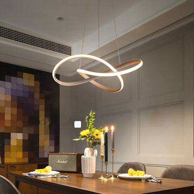 Nordic style Art simple Pendant Light bedroom Hotel led  Unna Artistic Circular Wave Pendant Light(WH-AP-313)