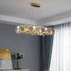 Modern chandelier lighting smoke gray glass round hanging lamp house lights(WH-MI-322)
