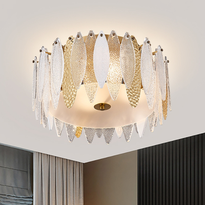 Modern Ceiling Lamps for Living room Bedroom Hallway siling light for living room(WH-CA-65)