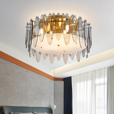 Modern Ceiling Lamps for Living room Bedroom Hallway siling light for living room(WH-CA-65)