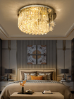 Nordic Crystal Ceiling Lights Creative Art deco LED Ceiling Lamp(WH-CA-85)
