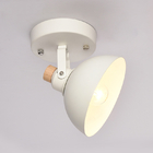 Wooden Ceiling Lamp Modern LED Ceiling Light for Bedroom Living Room Corridor Kitchen Indoor Lighting(WH-WA-21)