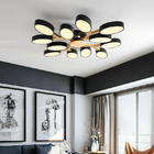 Modern Ceiling Lights Black White Corridor Bedroom Kitchen Office Lamp(WH-WA-29)