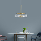 Modern Glass Pendant Lamps LED Bowl Nordic Lighting dinner table chandelier(WH-GP-41)