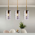 Modern LED Hanging Lamps Living Room Light Fixture Nordic Pendant Lights(WH-GP-53)