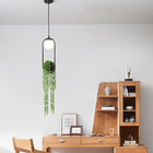 Creative Plant LED Pendant Lights Modern Indoor Lighting Grass Hanging Lamps(WH-GP-69)