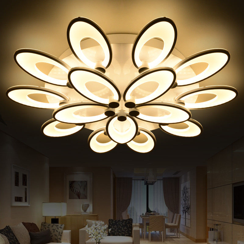 Affordable modern ceiling lighting for Bedroom Kitchen Dining room Ceiling lamp Fixtures (WH-MA-54)